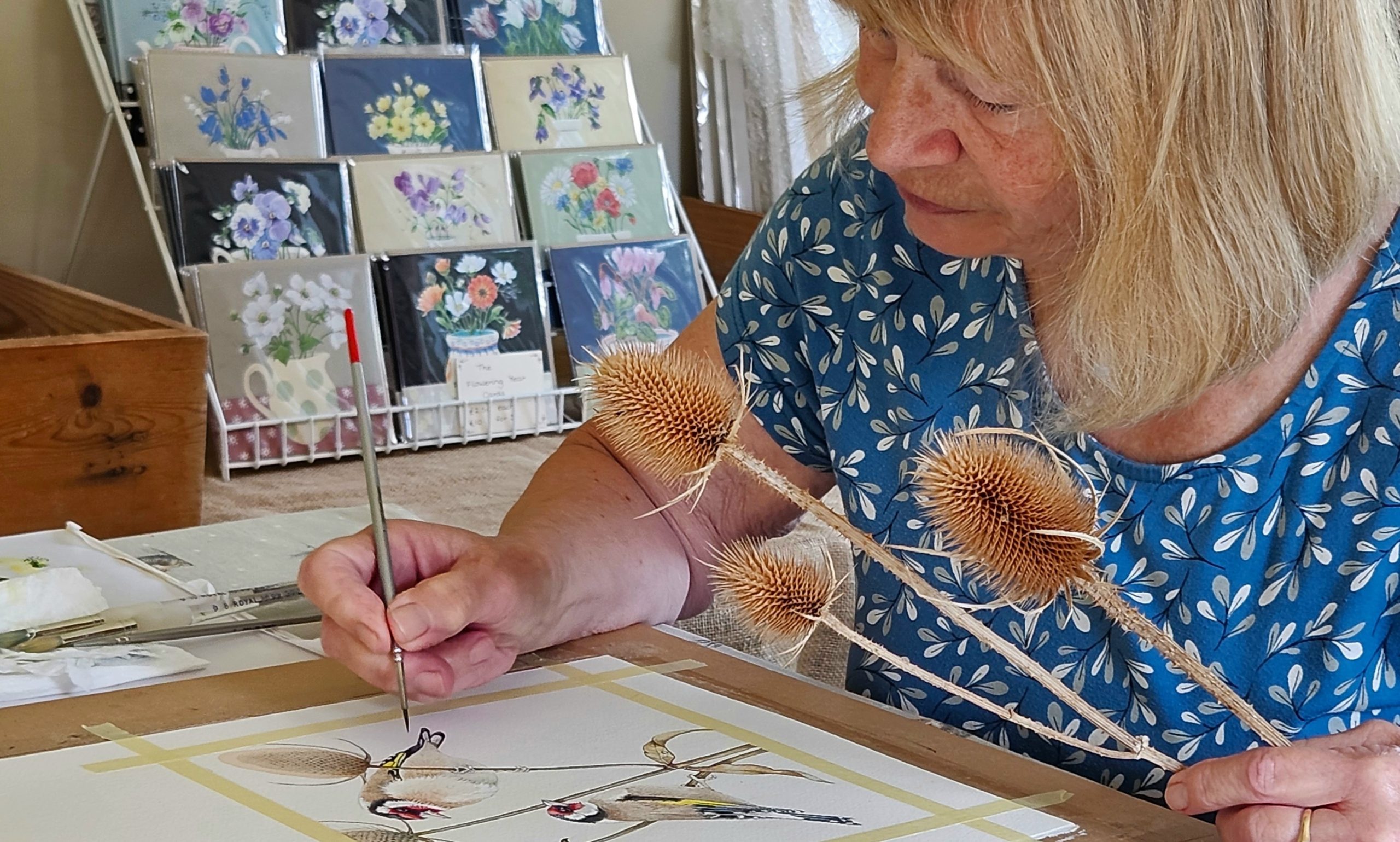 Sara Kenyon – My love of painting birds