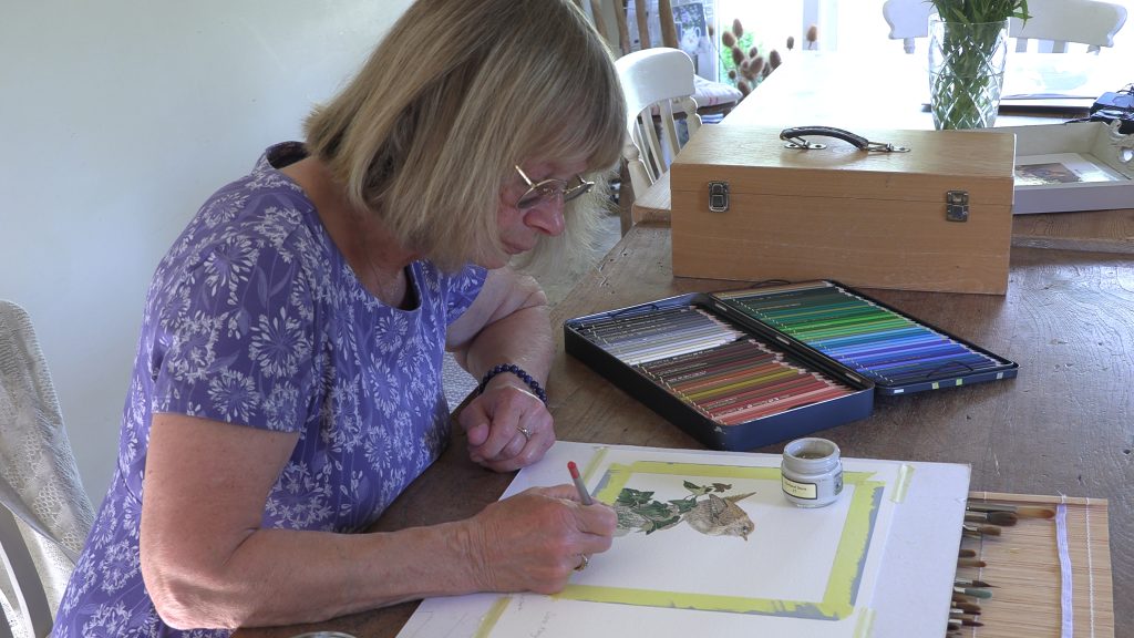 Sara Kenyon painting birds and wildlife