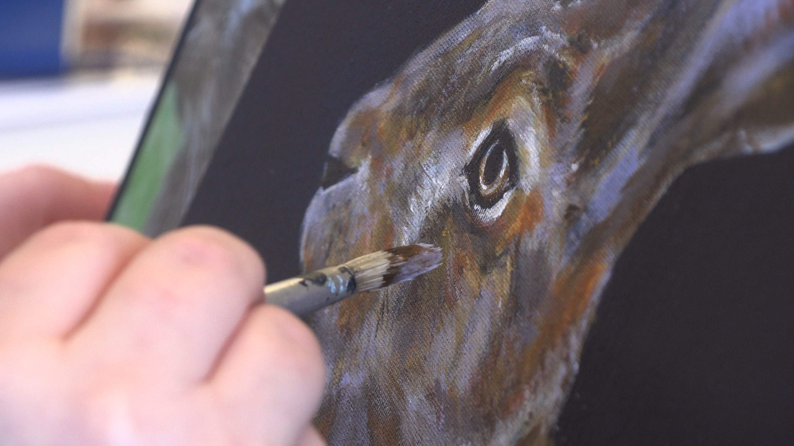 Megan Welton – Embracing Art and Nature